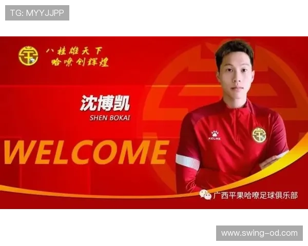 广西平果哈嘹休赛期调整引援策略提升整体实力 广西平果哈嘹休赛期调整引援策略提升整体实力